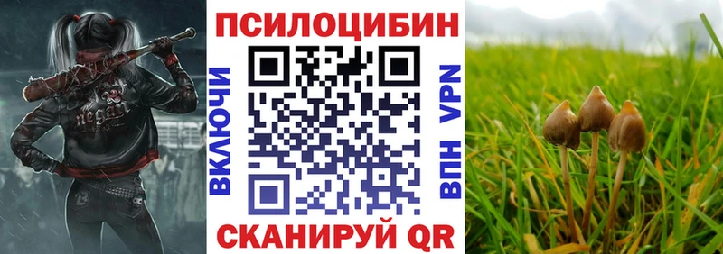 Купить  Ейск  Псилоцибиновые грибы прущие грибы 